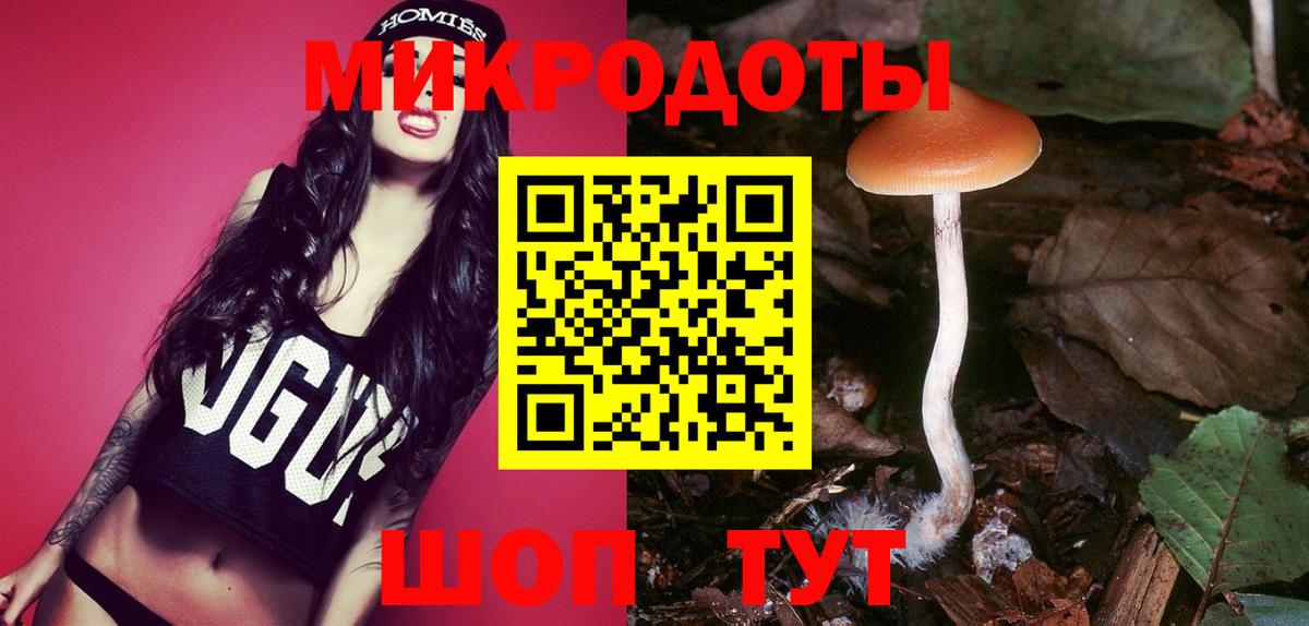 Жигулёвск  Псилоцибиновые грибы Cubensis  Вход с VPN 