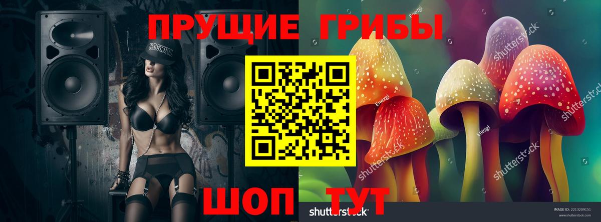Псилоцибиновые грибы MAGIC MUSHROOMS Жигулёвск